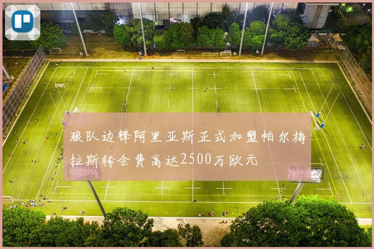 狼队边锋阿里亚斯正式加盟帕尔梅拉斯转会费高达2500万欧元