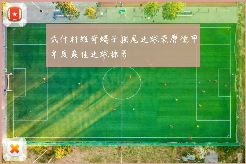 武什科维奇蝎子摆尾进球荣膺德甲年度最佳进球称号