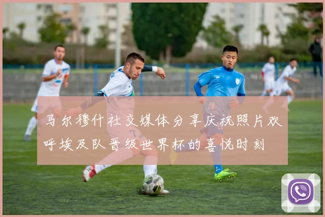 马尔穆什社交媒体分享庆祝照片欢呼埃及队晋级世界杯的喜悦时刻